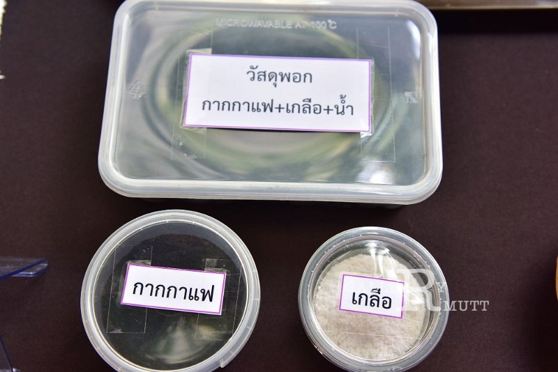 20200306-47.JPG