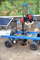 ORN_1686