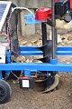 ORN_1689