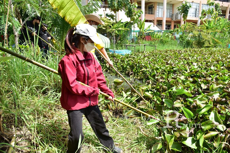 20211013-volunteer-086.JPG