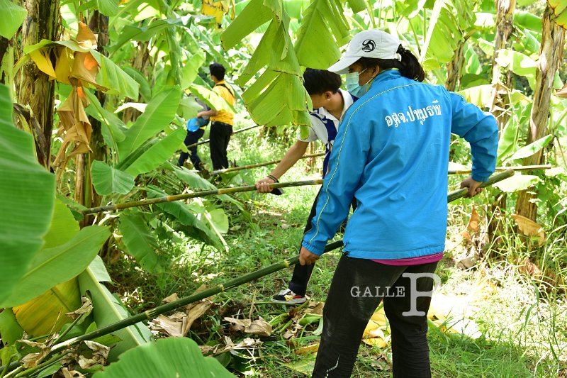 20211013-volunteer-121.JPG