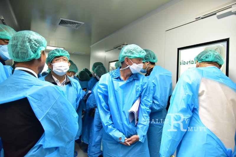 20230126-MedicinalPlanti-144.JPG