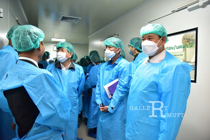 20230126-MedicinalPlanti-146.JPG