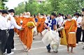 20230707-make-merit-126