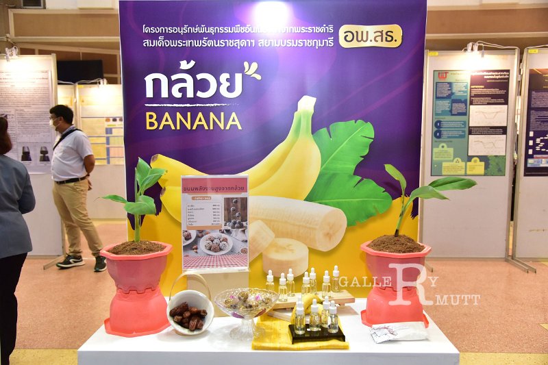 20230823-RMUTT-Research-101.JPG