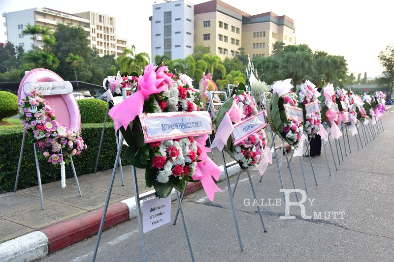 20231020-lay-a-wreath-007.JPG