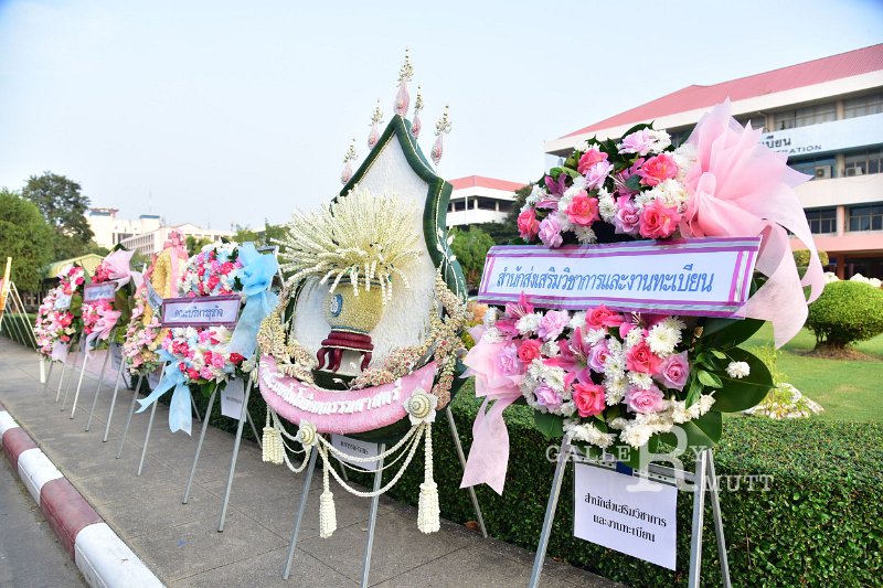 20231020-lay-a-wreath-010.JPG