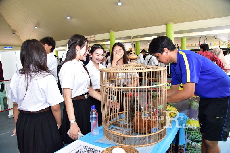 20240717-RMUTT-Activity-Fest2024-082.JPG