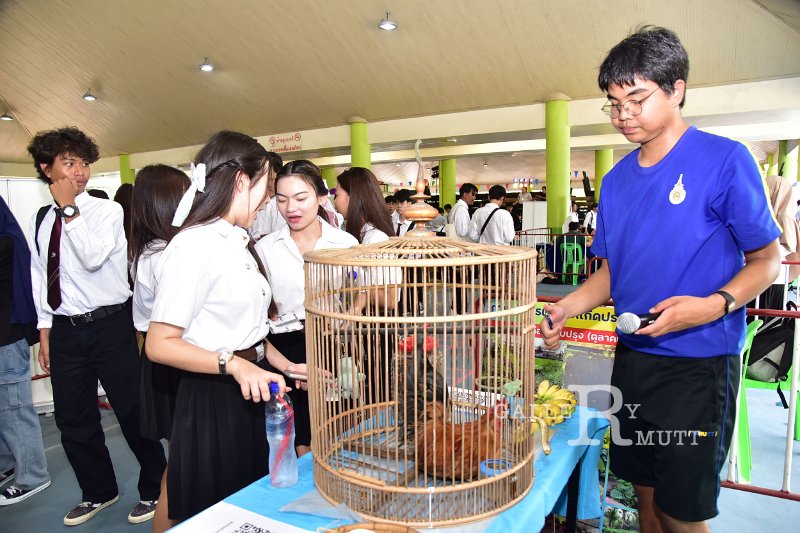 20240717-RMUTT-Activity-Fest2024-083.JPG