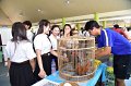20240717-RMUTT-Activity-Fest2024-082