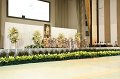 20240726-swear-allegiance-087