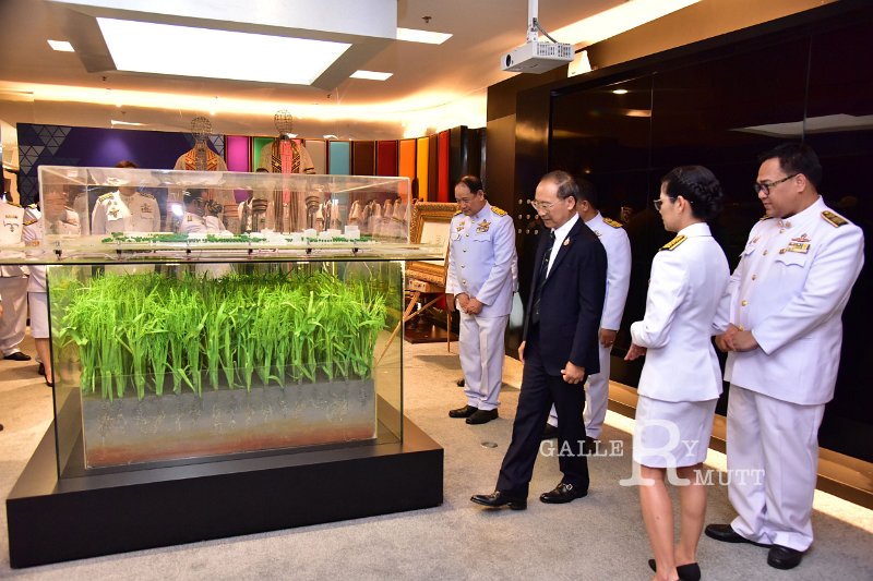 20240913-RajamangalaDay-219.JPG