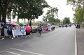 IMG_3525