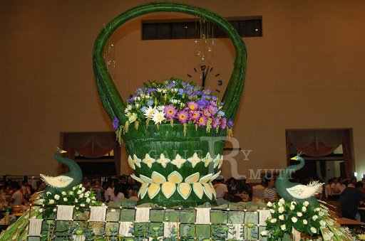 DSC_0083.JPG