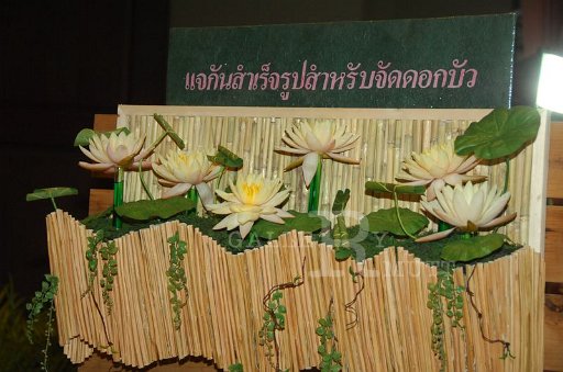 DSC_0125.JPG