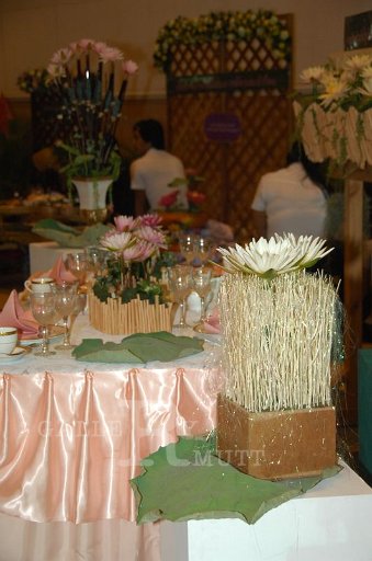 DSC_0127.JPG