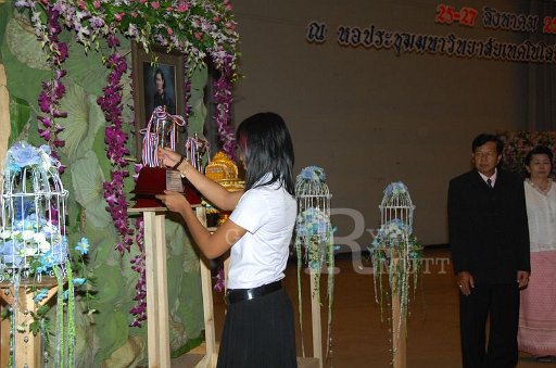DSC_0419.JPG