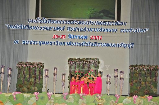DSC_0454.JPG