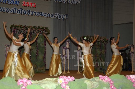 DSC_0514.JPG