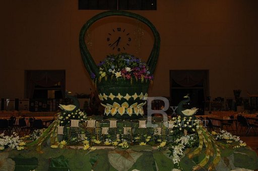 DSC_0587.JPG