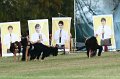 IMG_0740