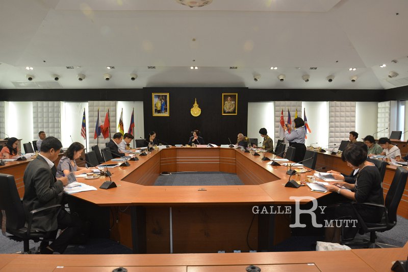 20190313-rspg-meeting-053.jpg