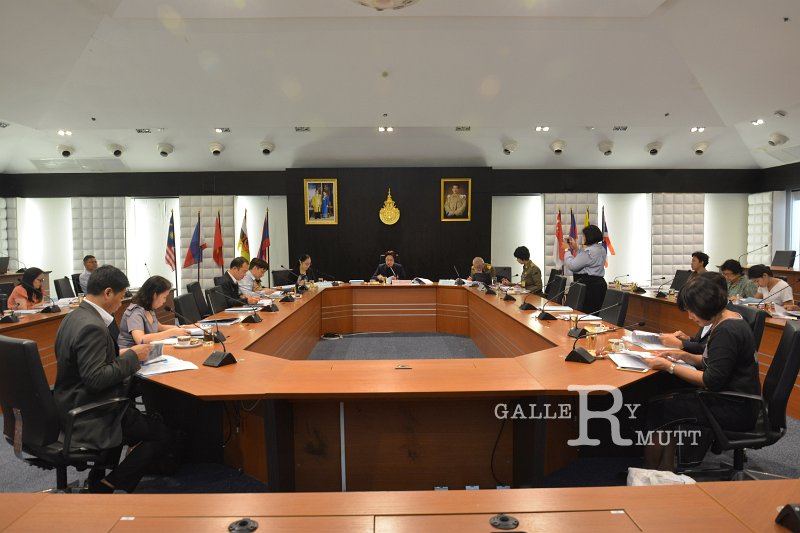 20190313-rspg-meeting-054.jpg