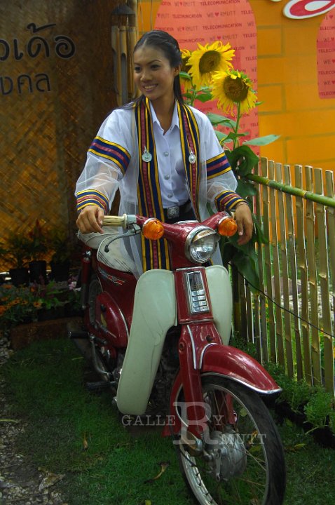 DSC_0030.jpg - rmutt