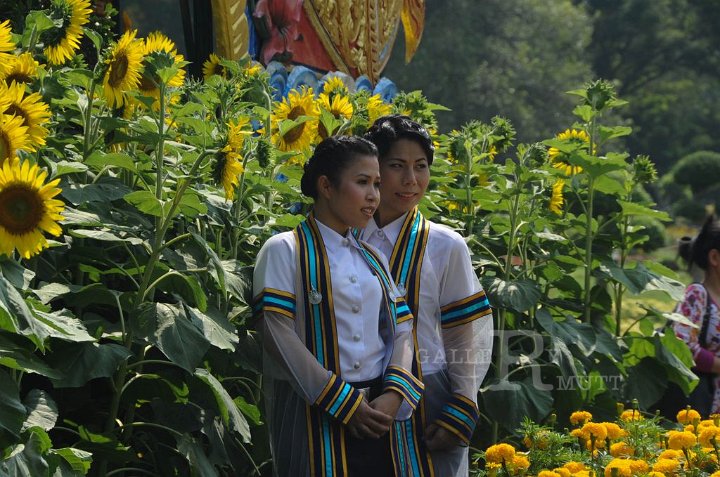 DSC_5699.jpg - rmutt