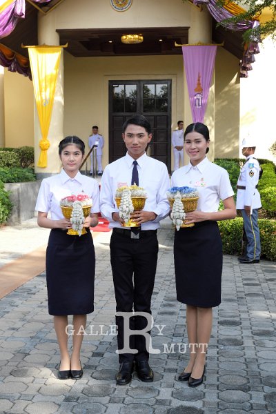 20171123-ARIT-NUT-AM04-057.jpg