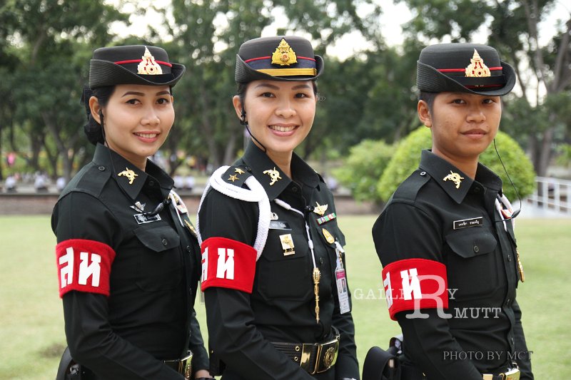 file120.jpg
