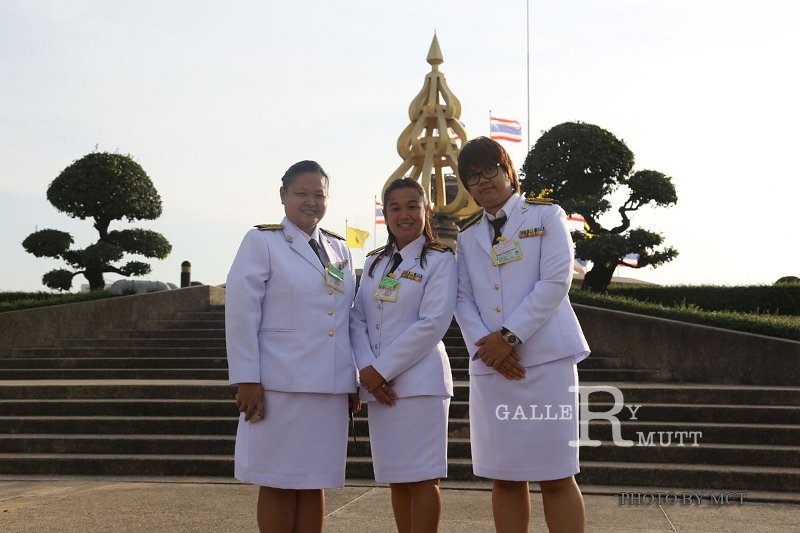 20141216-MCT-AM03-240.jpg