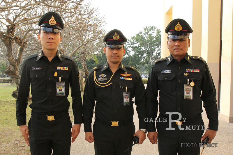 20141216-MCT-AM03-253.jpg