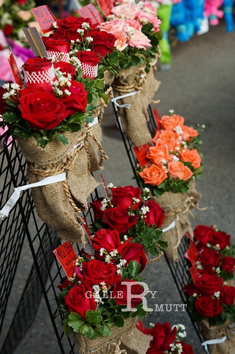 25551124-DSC00662-2.jpg - รับปริญญา