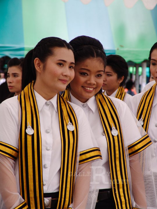 25551125-DSC01184.jpg