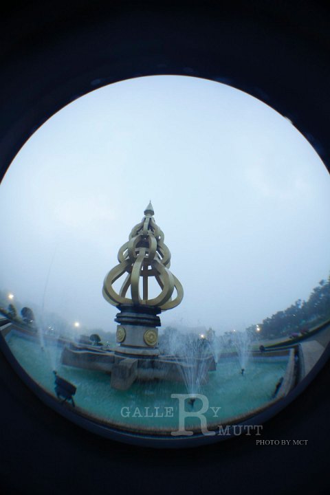 _MG_4145.jpg
