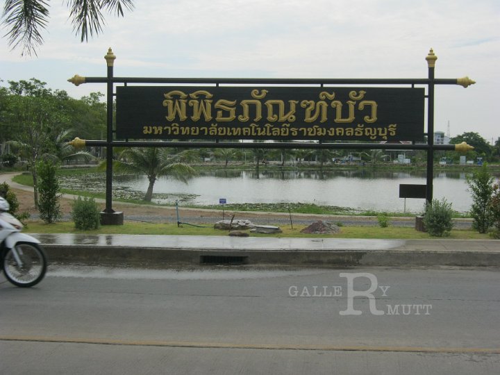 IMG_0485.JPG - จัดสวน