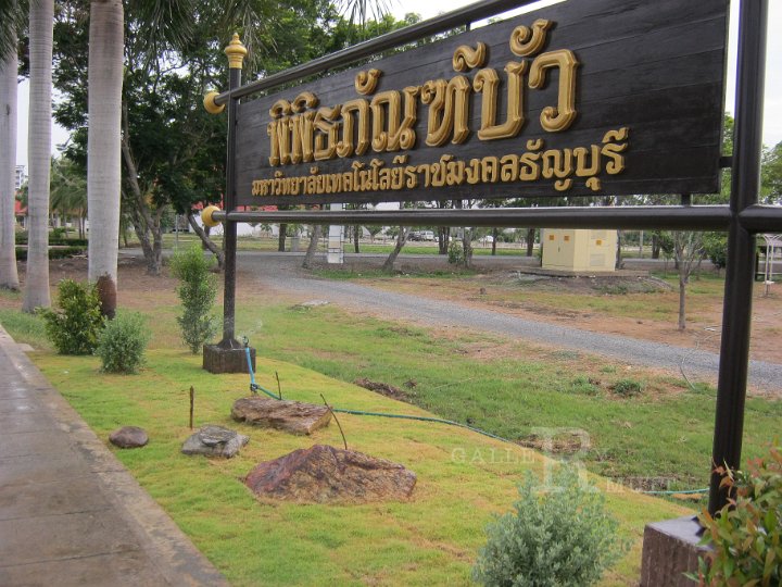 IMG_0486.JPG - จัดสวน
