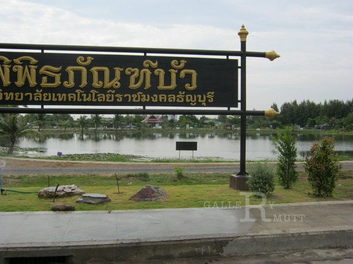 IMG_0488.JPG - จัดสวน