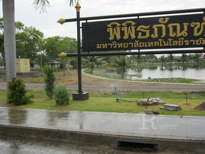 IMG_0489.JPG - จัดสวน