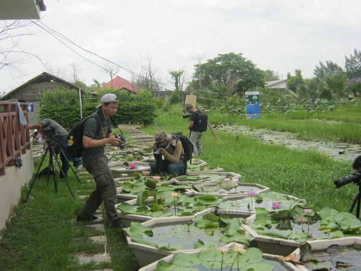 IMG_0805.JPG - อบรมถ่ายภาพบัว 9 มิ.ย. 55