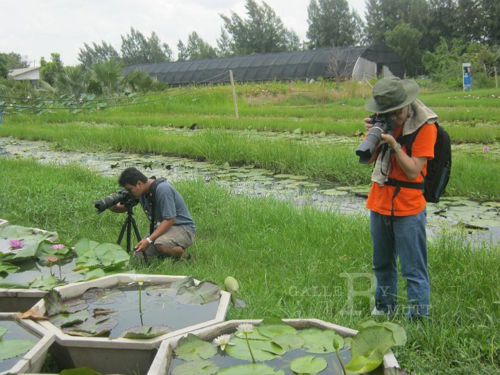 IMG_0806.JPG - อบรมถ่ายภาพบัว 9 มิ.ย. 55