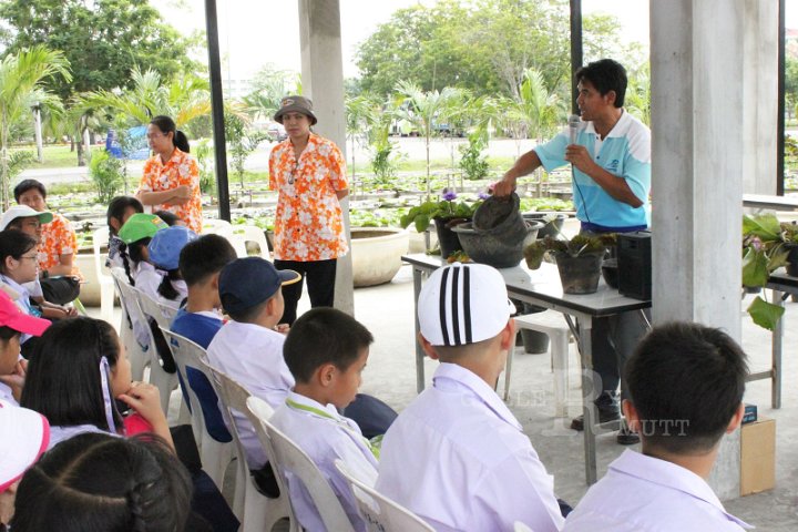 06.JPG
