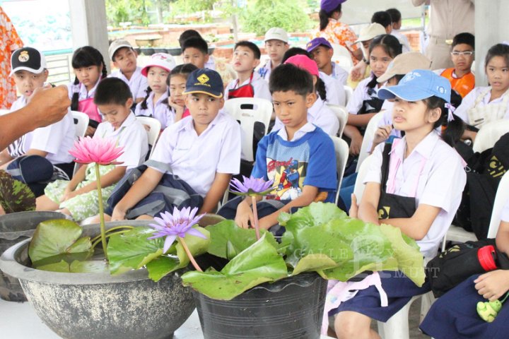 07.JPG