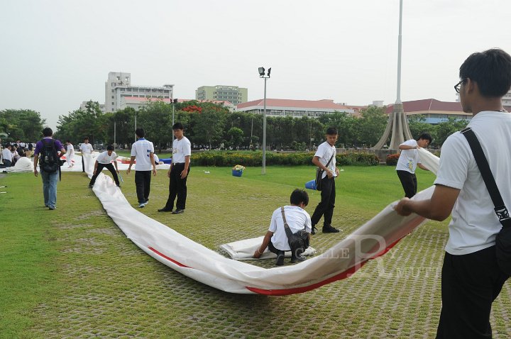 DSC_2238.JPG