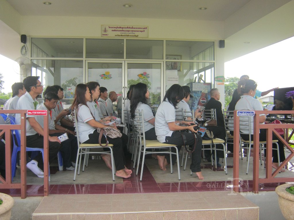 IMG_0685.JPG - บริษัท ncc เยี่ยมชมบัว