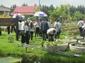 IMG_0715