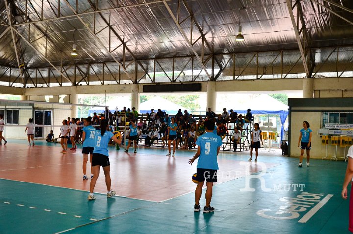 25560202-Q00_1763.jpg