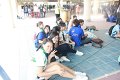 sci_81