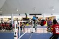 IMG_0381